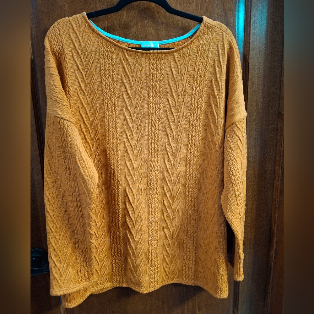 Nwot Hailey & Co sweater 1x